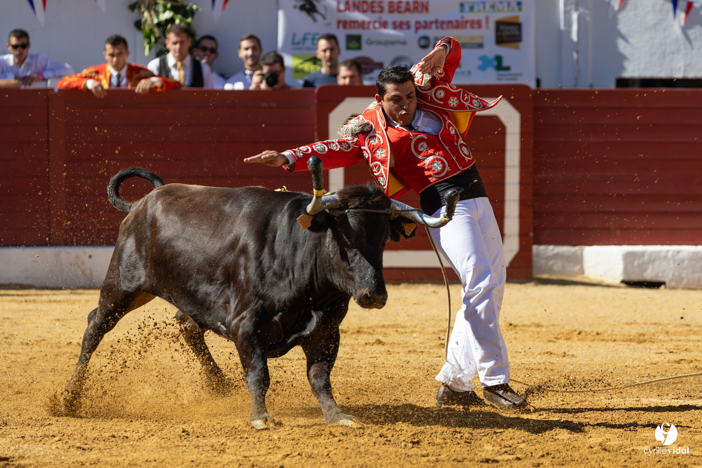 Aire-sur-l'Adour Championnat de France de course landaise 2023 Aire-sur-l'Adour Championnat de France de course landaise 2023