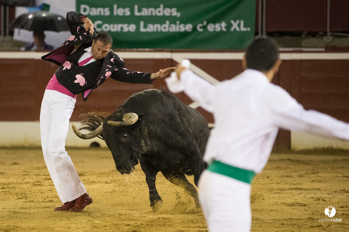 Mont-de-Marsan festival Art et Courage