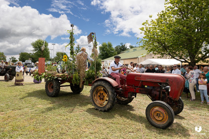 2023-07-02-1844.jpg