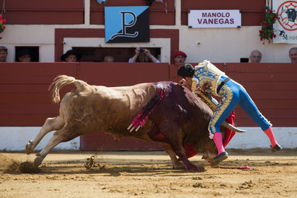 corrida, toro, vic fezensac, alcurrucen, michelito, morenito de aranda