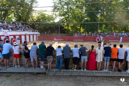 Course landaise à Panjas