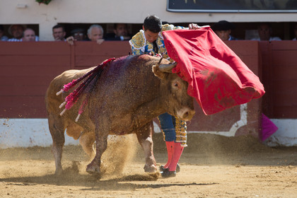 corrida, toro, vic fezensac, alcurrucen, michelito, morenito de aranda