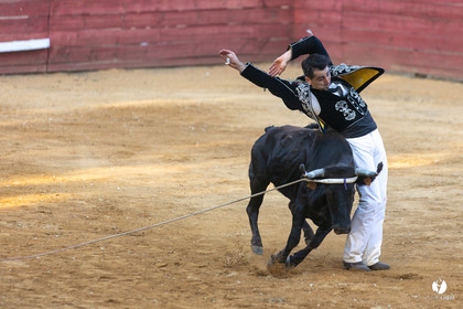Course landaise à Panjas