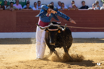 Aire-sur-l'Adour Championnat de France de course landaise 2023