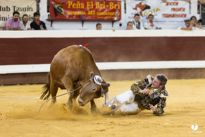 Dax concours landais 2022