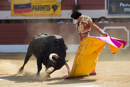 corrida, toro, vic fezensac, alcurrucen, michelito, morenito de aranda