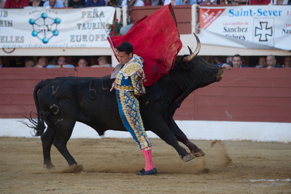 corrida, toro, vic fezensac, alcurrucen, michelito, morenito de aranda