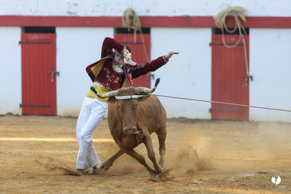 Course landaise à Panjas