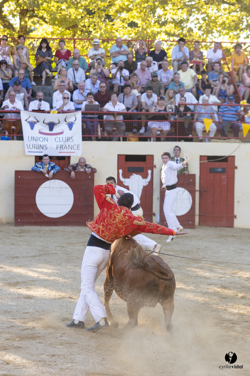 Course landaise
