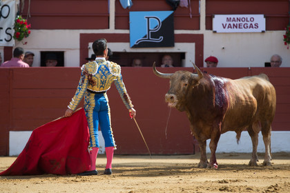 corrida, toro, vic fezensac, alcurrucen, michelito, morenito de aranda