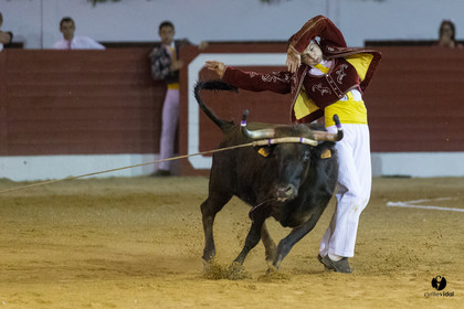 Aire sur l'Adour course landaise génération Aturine