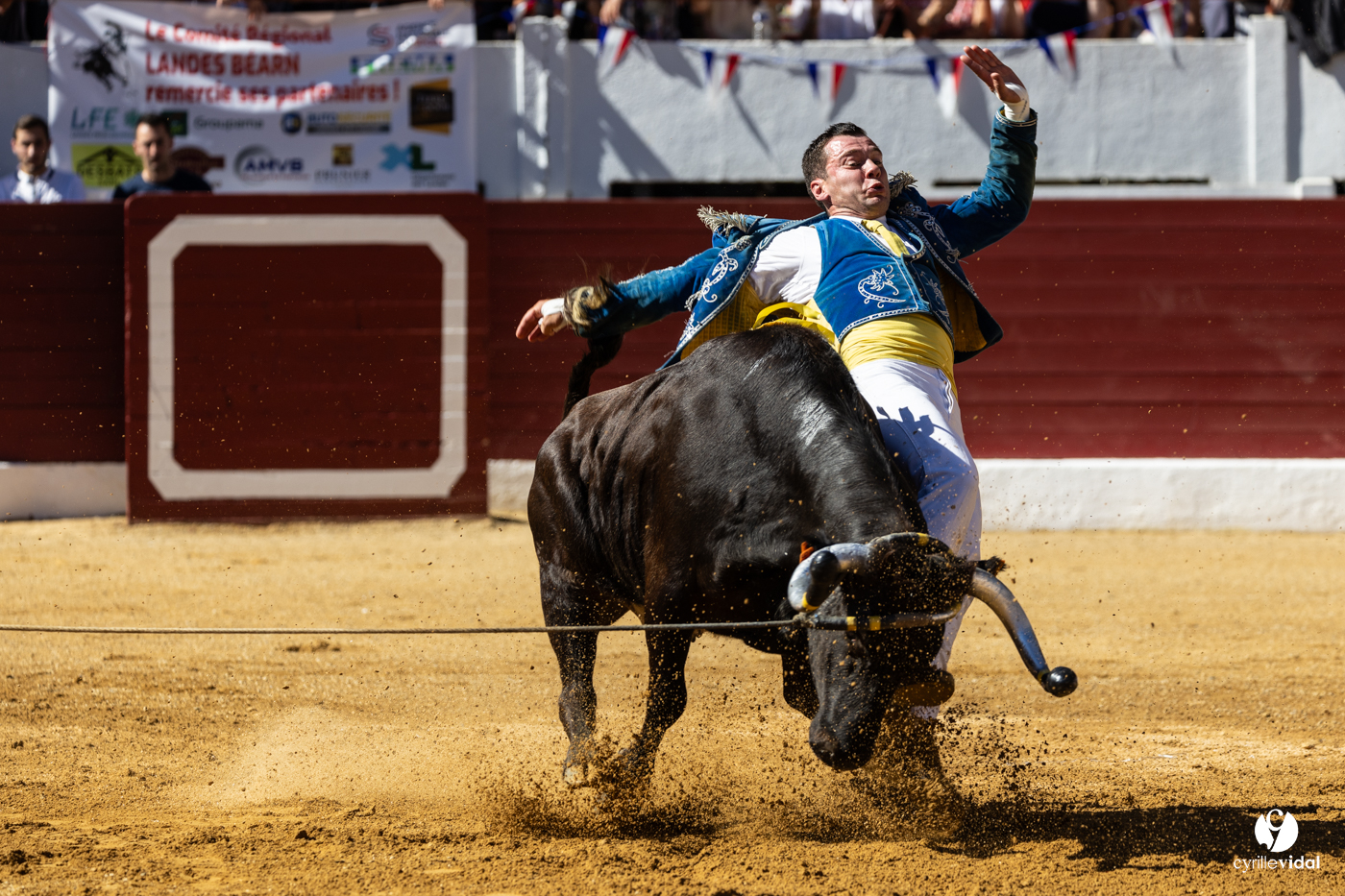 Aire-sur-l'Adour Championnat de France de course landaise 2023