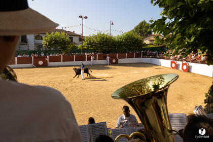 2025-07-05-1487.jpg