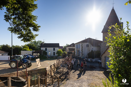 2025-06-28-1145.jpg