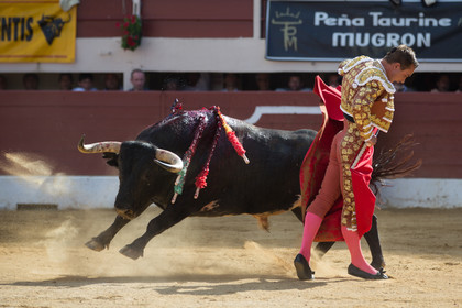 corrida, toro, vic fezensac, alcurrucen, michelito, morenito de aranda