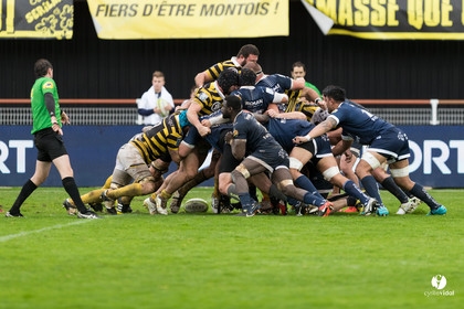 Stade Montois Rugby - Colomiers