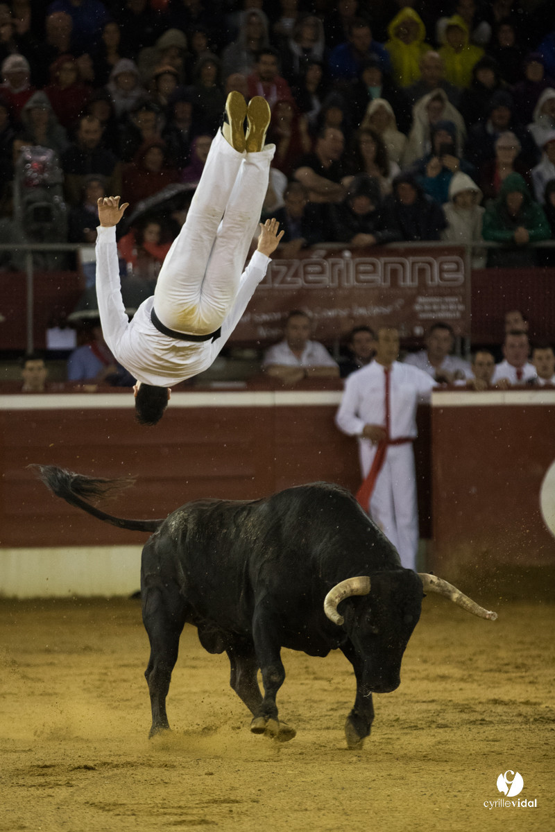 Mont-de-Marsan festival Art et Courage
