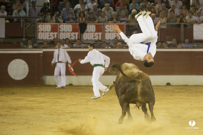 course landaise