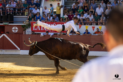Aire-sur-l'Adour Championnat de France de course landaise 2023