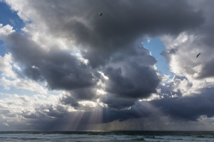 Paysages des Landes