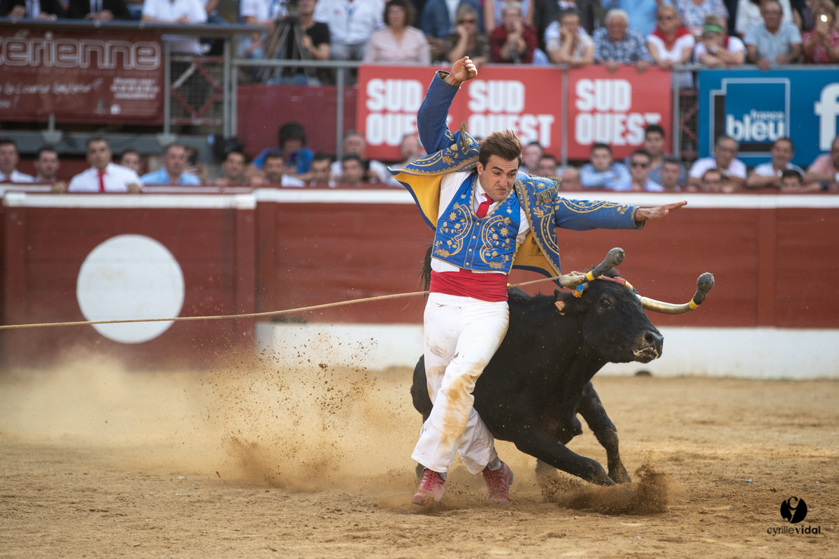 Mont-de-Marsan championnat de France de course landaise 2019