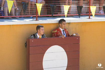 Course landaise