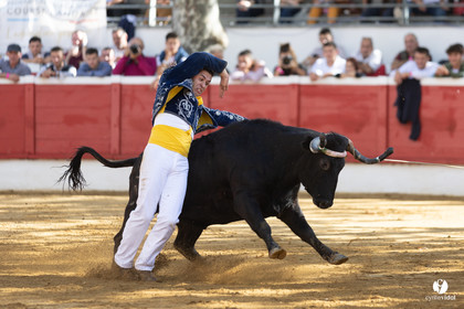 Nogaro Championnat de France de course landaise 2022