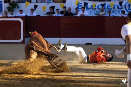 Aire-sur-l'Adour Championnat de France de course landaise 2023