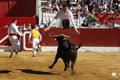 Aire-sur-l'Adour Championnat de France de course landaise 2023