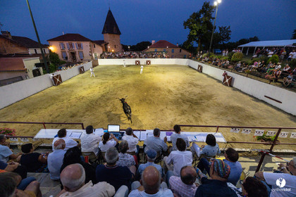 2025-07-11-2323.jpg