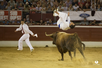 course landaise