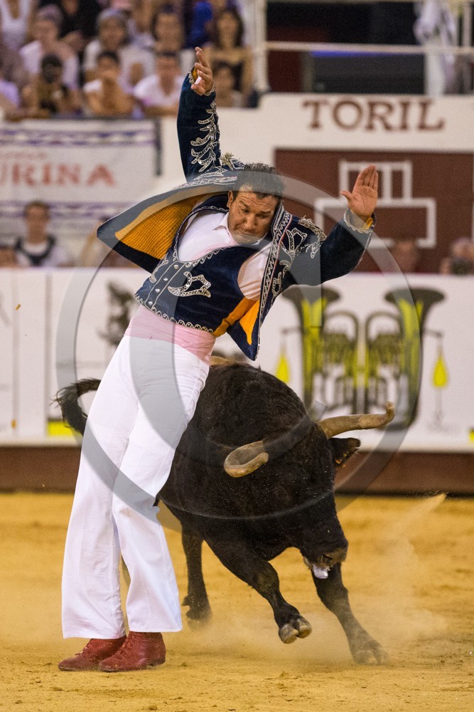 1283.jpg