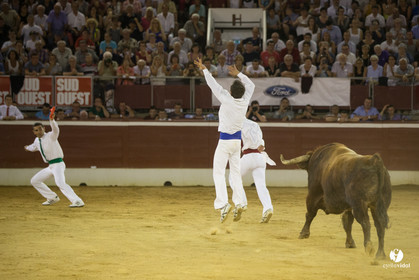 course landaise