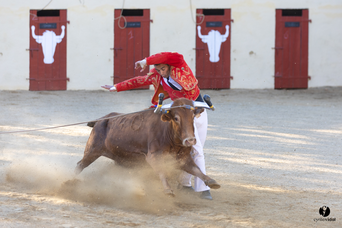 Course landaise