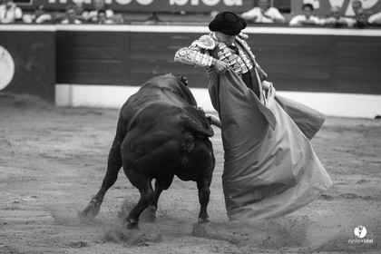 Mont-de-Marsan corrida de Jandilla pour Padilla - Talavante - Roca Rey