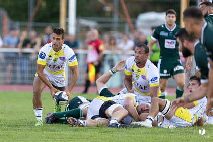 Stade Montois Rugby - Section Paloise