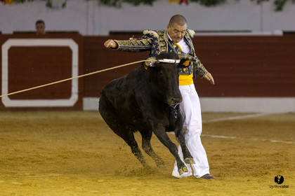 Aire sur l'Adour course landaise génération Aturine