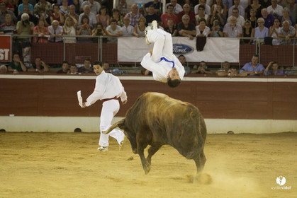 course landaise