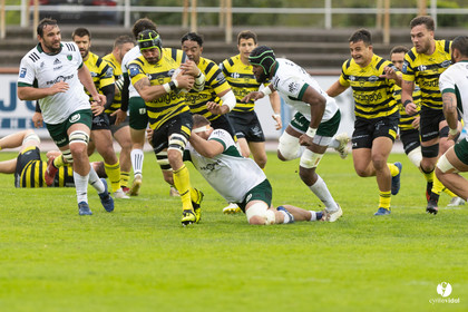 Stade Montois Rugby - Montauban