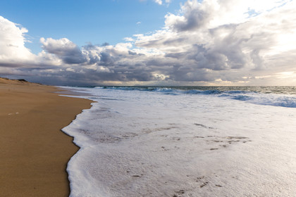 Paysages des Landes