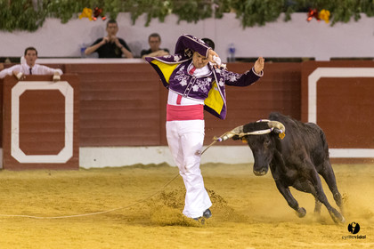 Aire sur l'Adour course landaise génération Aturine