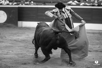 Mont-de-Marsan corrida de Jandilla pour Padilla - Talavante - Roca Rey