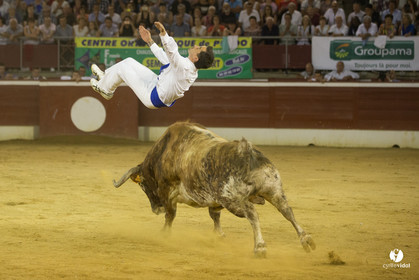 course landaise