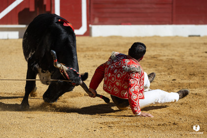 Aire-sur-l'Adour Championnat de France de course landaise 2023