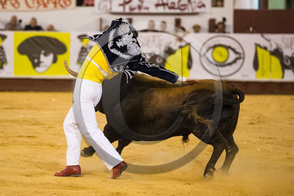 1290.jpg