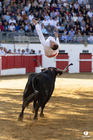 Nogaro Championnat de France de course landaise 2022