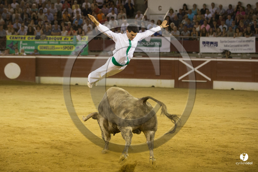 course landaise
