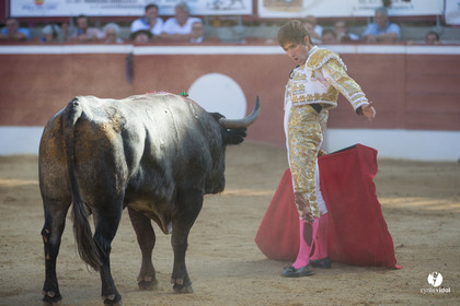 Mont-de-Marsan corrida d'Adolfo Martin