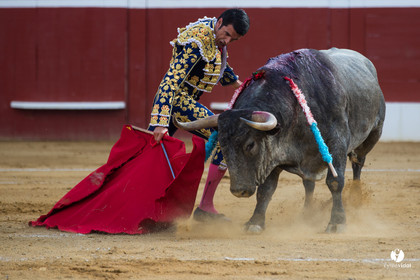 Mont-de-Marsan corrida d'Adolfo Martin