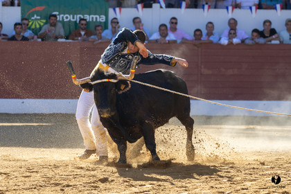 Aire-sur-l'Adour Championnat de France de course landaise 2023